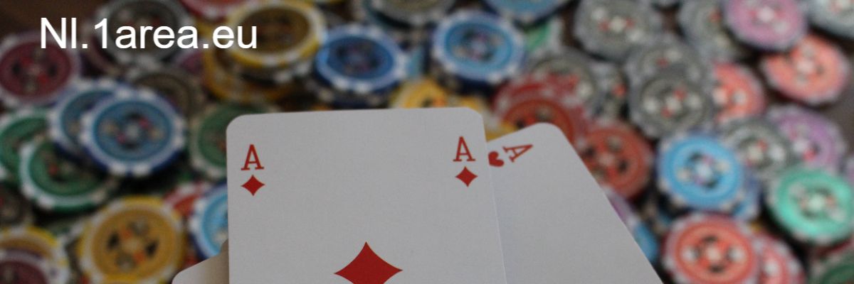 nl.1area.eu